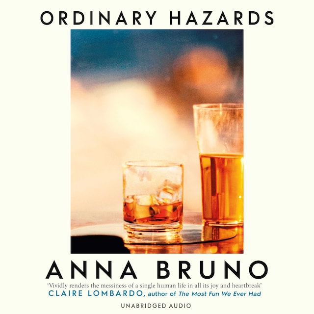 Book cover for Ordinary Hazards