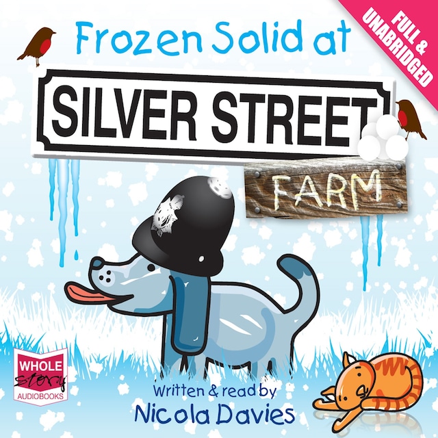 Book cover for Frozen Solid at Silver Street Farm