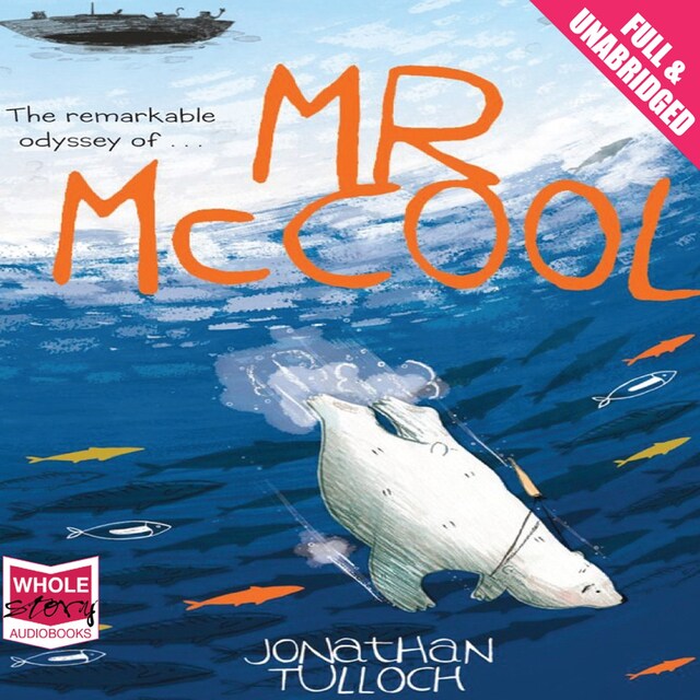 Book cover for Mr McCool