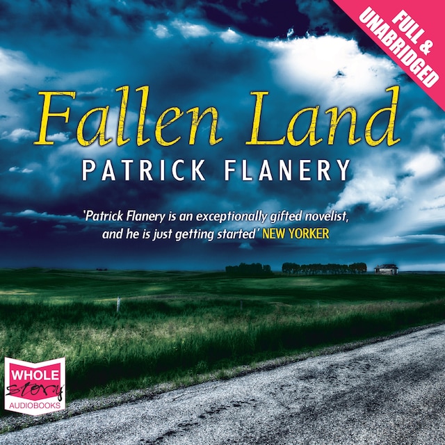 Buchcover für Fallen Land