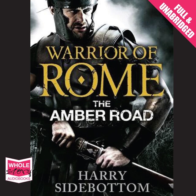 Book cover for The Amber Road