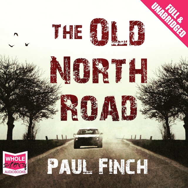 Book cover for The Old North Road