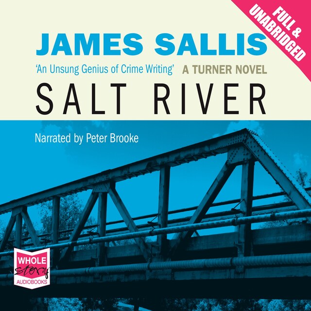 Copertina del libro per Salt River