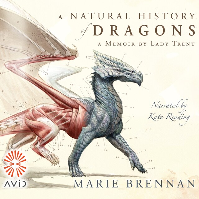 Book cover for A Natural History of Dragons