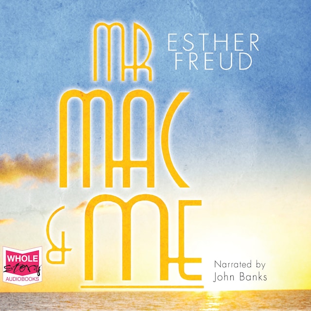 Book cover for Mr Mac and Me