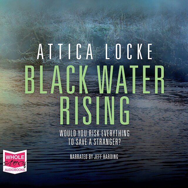 Book cover for Black Water Rising