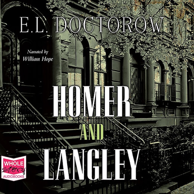 Book cover for Homer and Langley