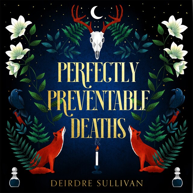Book cover for Perfectly Preventable Deaths