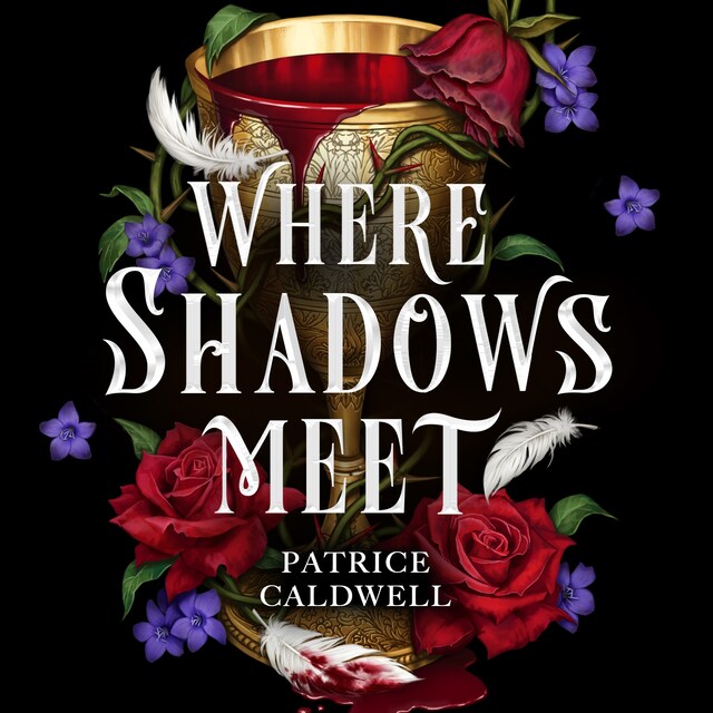 Book cover for Where Shadows Meet