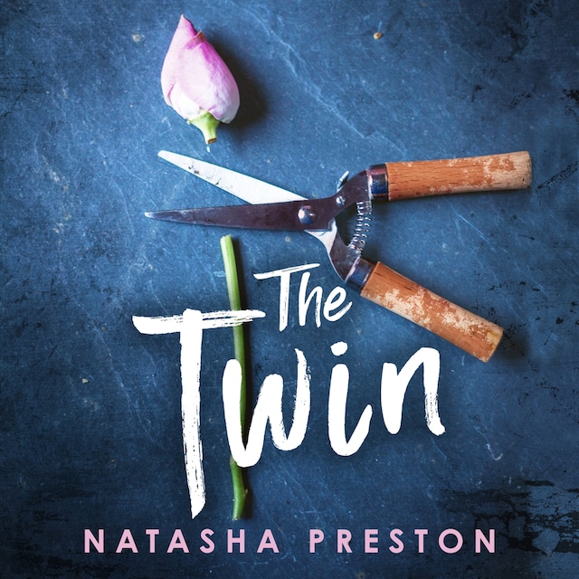 Book cover for The Twin