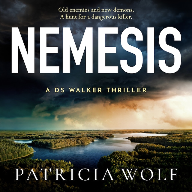 Book cover for Nemesis