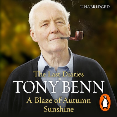 A Blaze of Autumn Sunshine