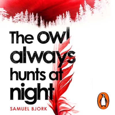 The Owl Always Hunts at Night