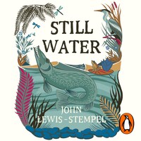 Still Water