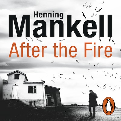After the Fire