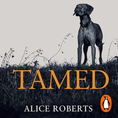 Tamed