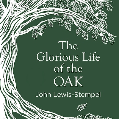 The Glorious Life of the Oak