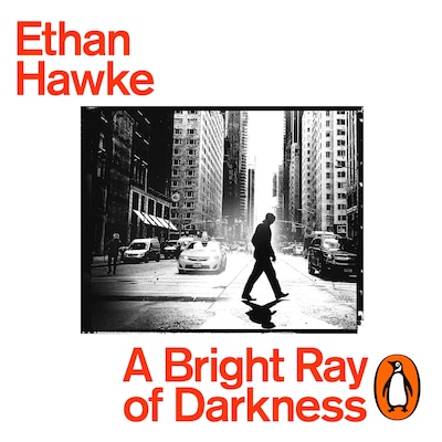 A Bright Ray of Darkness