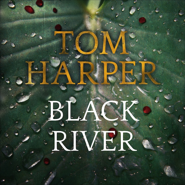 Okładka książki dla Black River