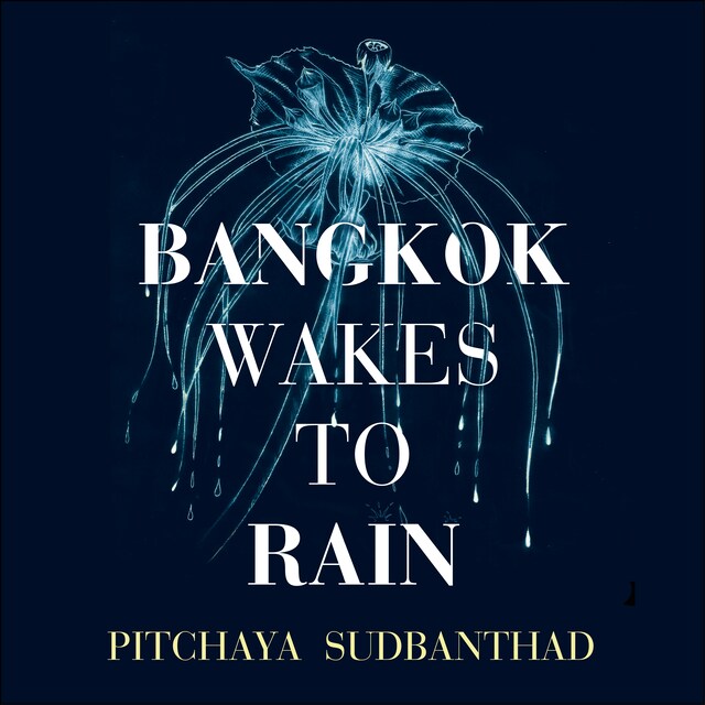 Book cover for Bangkok Wakes to Rain
