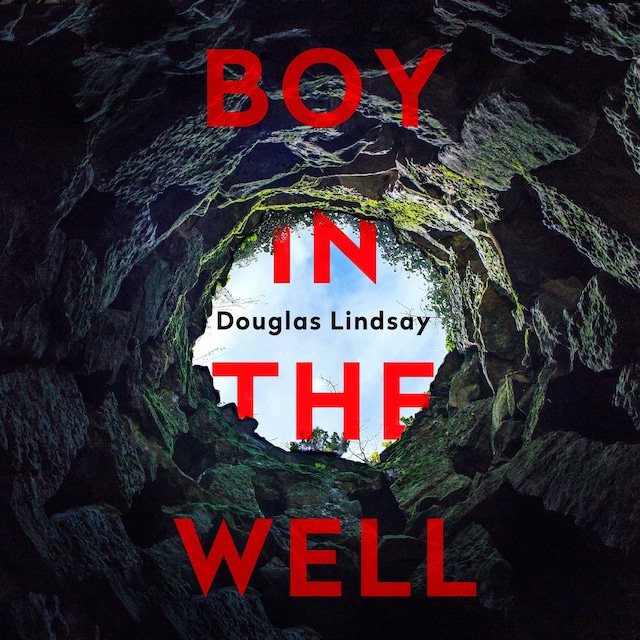 Buchcover für Boy in the Well