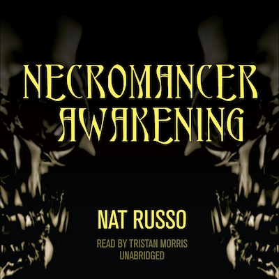 Necromancer Awakening