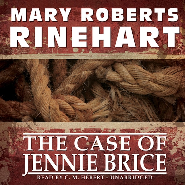 Book cover for The Case of Jennie Brice