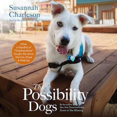 The Possibility Dogs