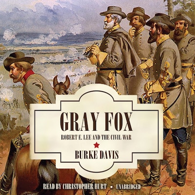 Gray Fox