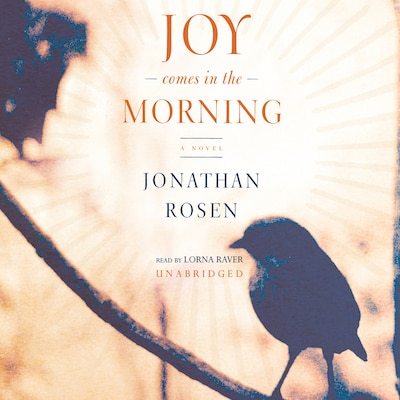 Joy Comes in the Morning