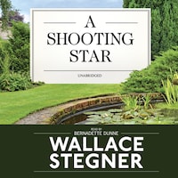 A Shooting Star