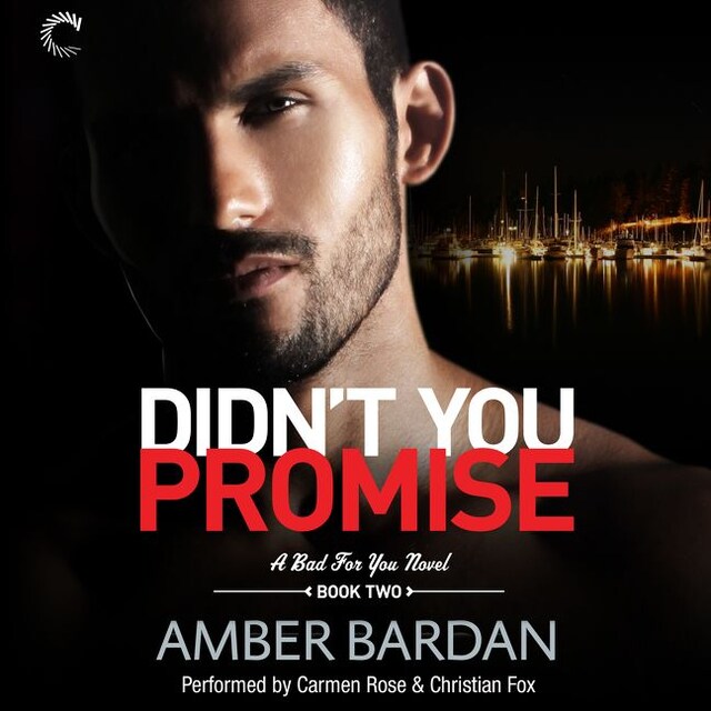Book cover for Didn't You Promise