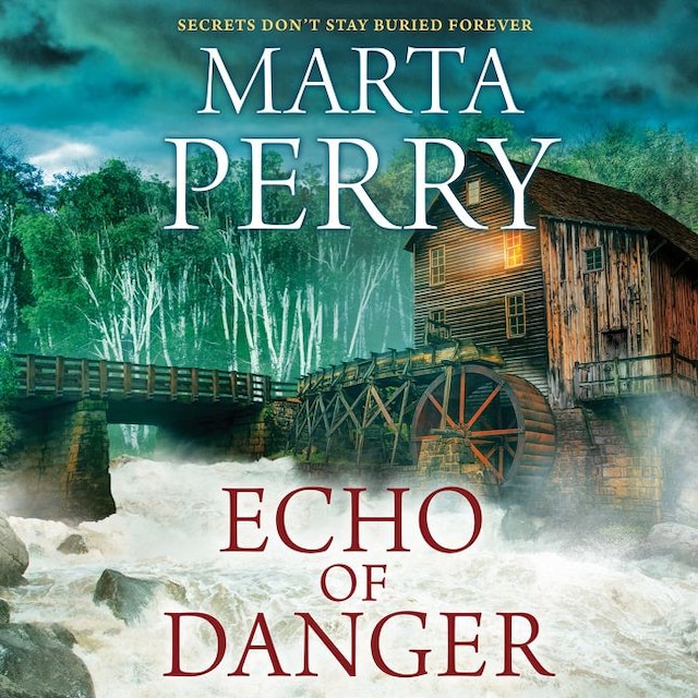 Buchcover für Echo of Danger