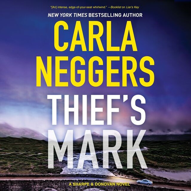 Book cover for Thief's Mark