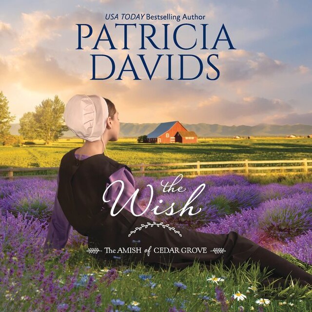 Book cover for The Wish