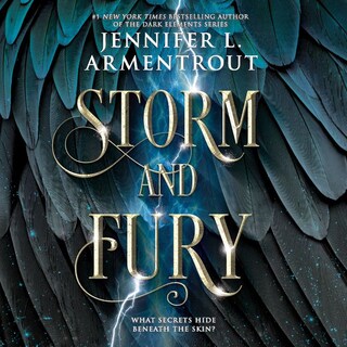 Storm and Fury bookCoverFor