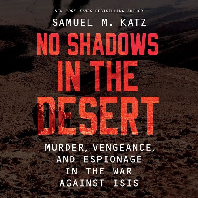 Book cover for No Shadows in the Desert