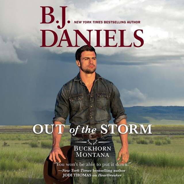 Okładka książki dla Out of the Storm