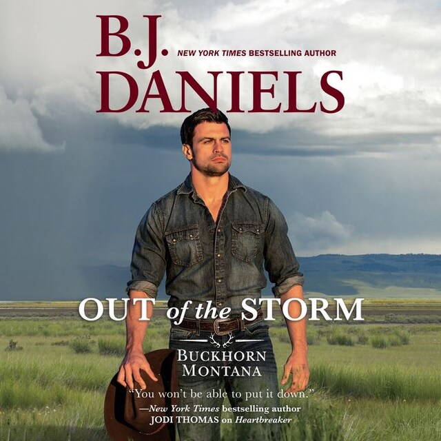 Book cover for Out of the Storm