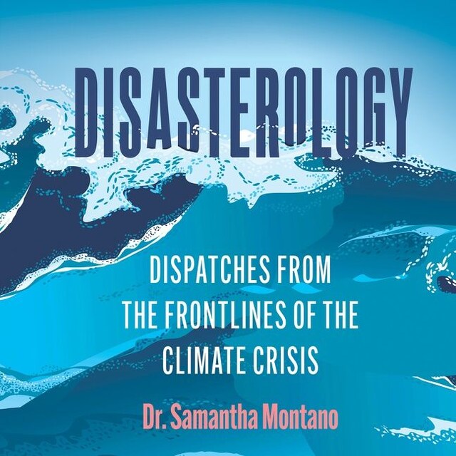 Bogomslag for Disasterology
