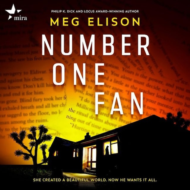 Book cover for Number One Fan