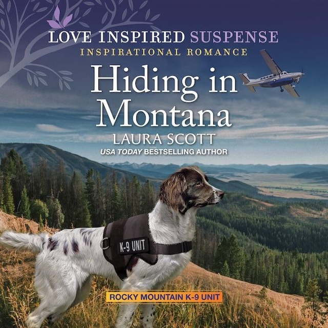 Book cover for Hiding in Montana