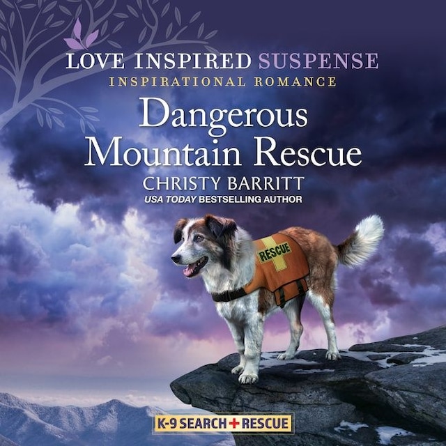 Boekomslag van Dangerous Mountain Rescue