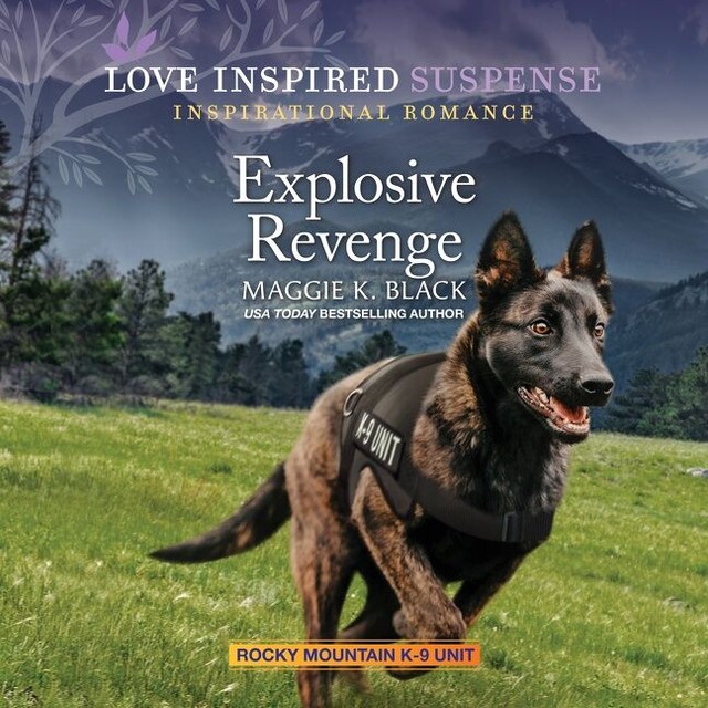 Book cover for Explosive Revenge