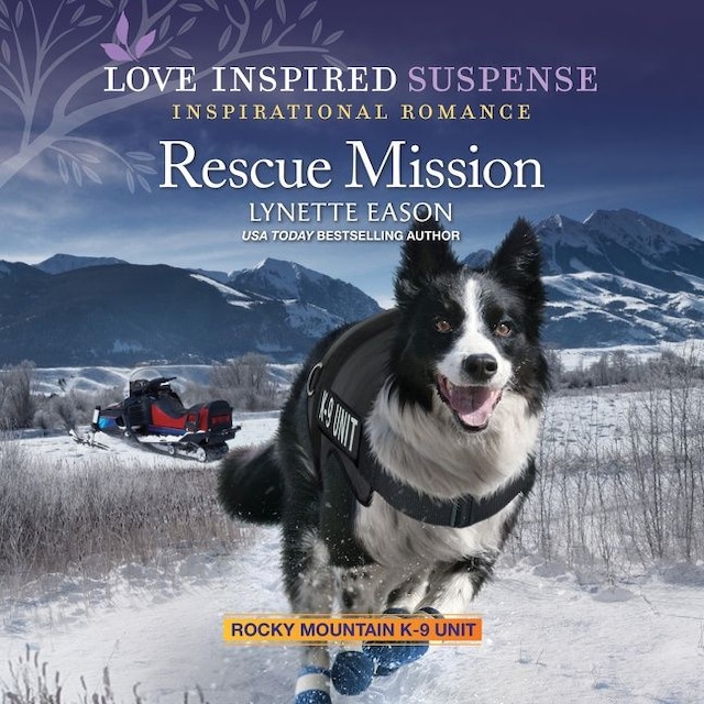 Buchcover für Rescue Mission