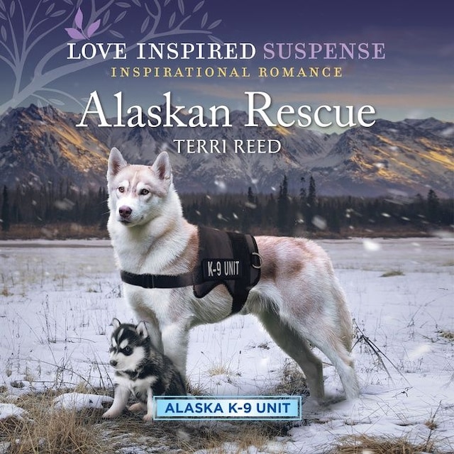 Book cover for Alaskan Rescue