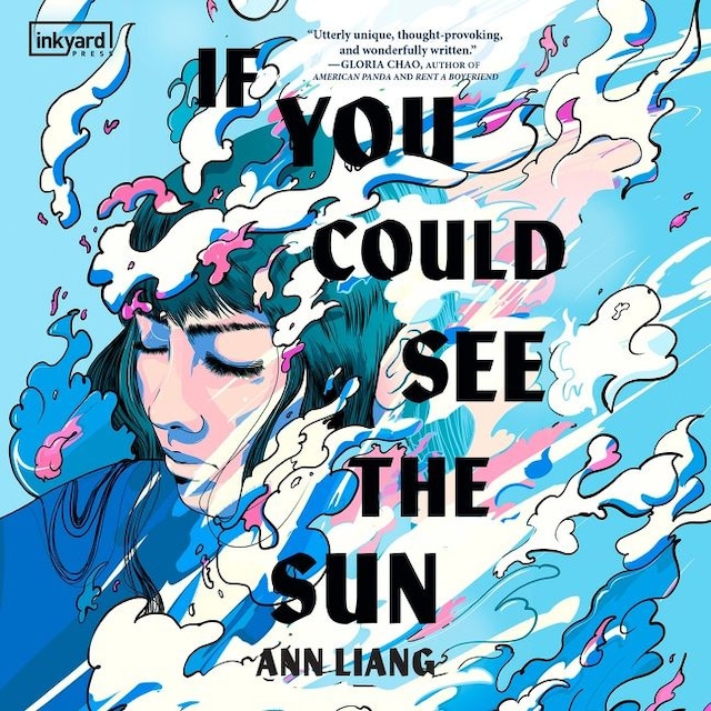 Book cover for If You Could See the Sun