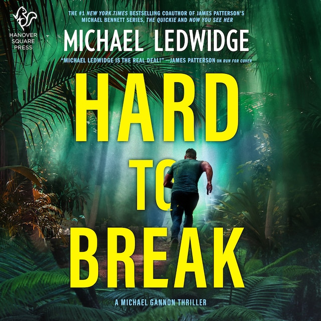 Book cover for Hard to Break