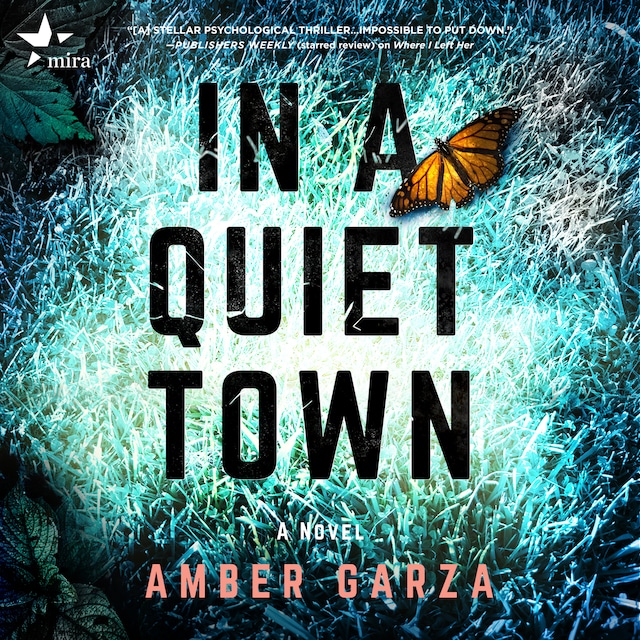 Book cover for In a Quiet Town