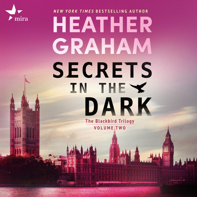 Book cover for Secrets in the Dark